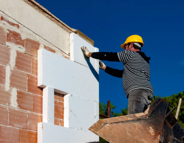 Best Insulation Installation Services in Trappe, MD