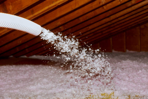 Best Types of Insulation in Trappe, MD
