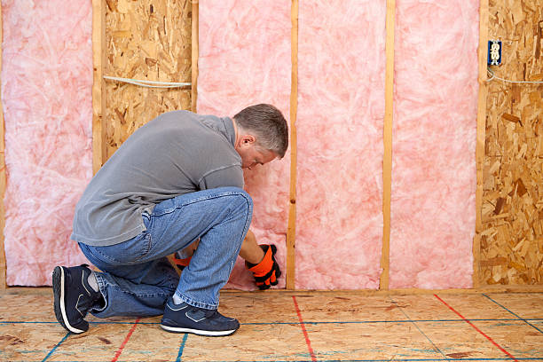 Best Insulation for Specific Applications in Trappe, MD